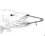 Ouvre-gueules - Accessoires de pêche | , Grand marchand d'articles de pêche