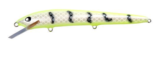 481629_5 481629_5