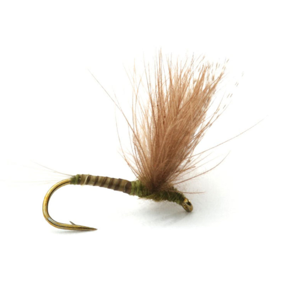 Guideline CDC Biot Comparadun Olive dans le groupe Outlet l\'adresse Sportfiskeprylar.se (101132GLr)