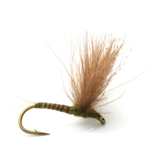 Guideline CDC Biot Comparadun Olive # 14 dans le groupe Leurre de la peche / Mouches / Mouches sèches l\'adresse Sportfiskeprylar.se (101133GL)