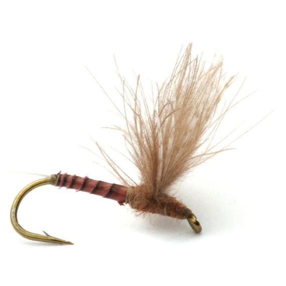 Guideline CDC Biot Comparadun Quill G #16 dans le groupe Leurre de la peche / Mouches / Mouches sèches l\'adresse Sportfiskeprylar.se (101137GL)