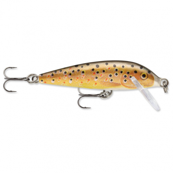 Rapala Sinking CD 9cm TR dans le groupe Leurre de la peche / Crankbait / Crankbaits shallow l\'adresse Sportfiskeprylar.se (101138NO)