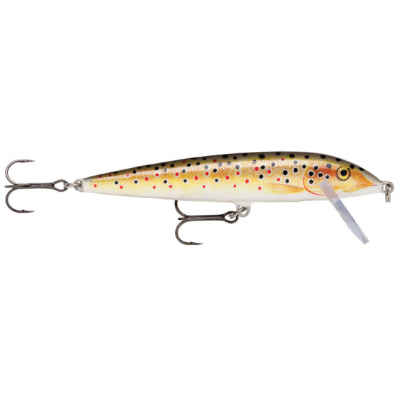 Rapala Sinking CD 11cm TR dans le groupe Leurre de la peche / Crankbait / Crankbaits shallow l\'adresse Sportfiskeprylar.se (101154NO)