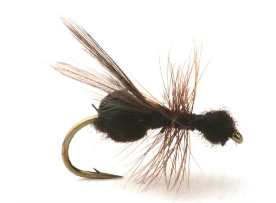 Guideline Flying Ant / Myra Black # 12 dans le groupe Leurre de la peche / Mouches / Mouches sèches l\'adresse Sportfiskeprylar.se (101213GL)