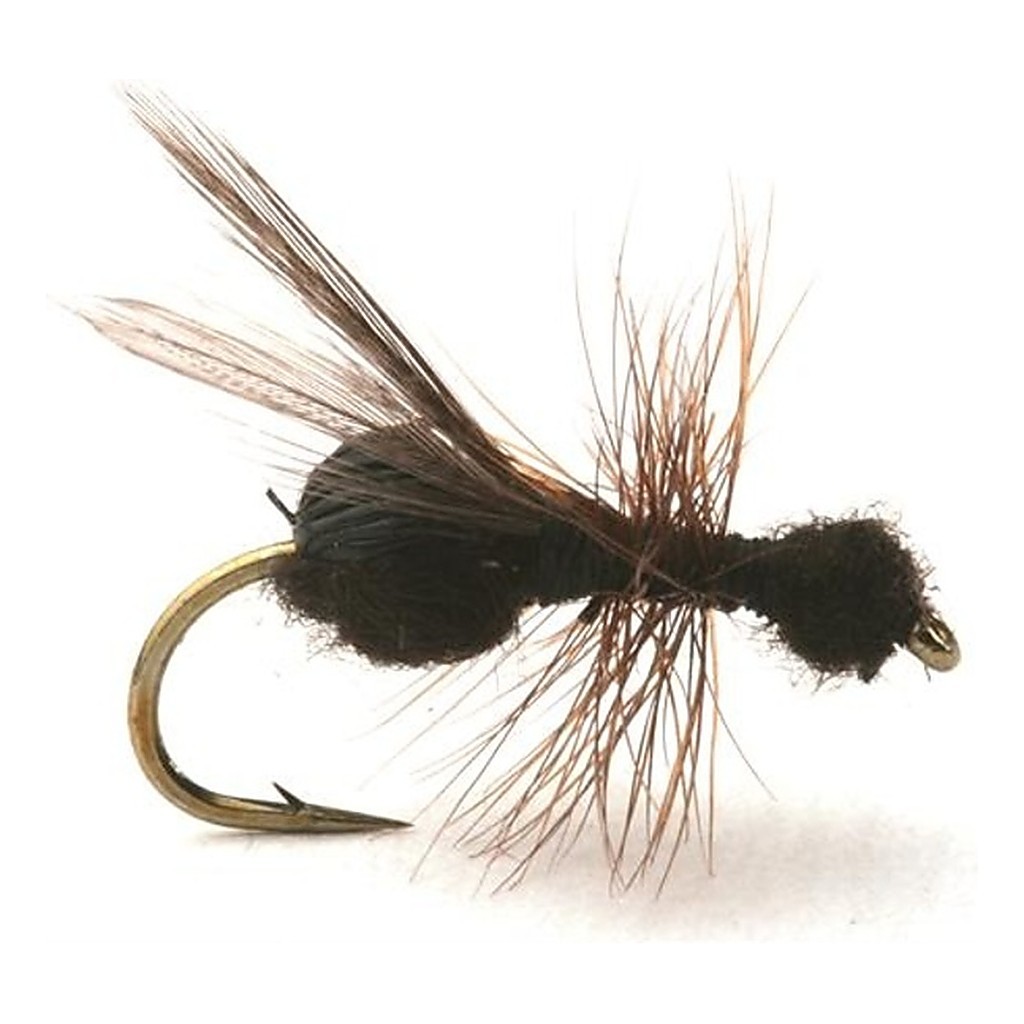 Guideline Flying Ant / Myra Black # 12 dans le groupe Leurre de la peche / Mouches / Mouches sèches l\'adresse Sportfiskeprylar.se (101213GL)