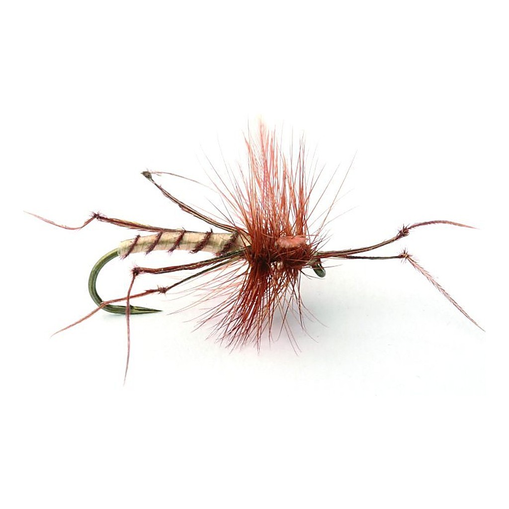 Daddy Long Legs Tørr - 10 dans le groupe Leurre de la peche / Mouches / Mouches sèches l\'adresse Sportfiskeprylar.se (101229GL)