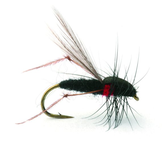 Russer Flua Tørr - 12 dans le groupe Leurre de la peche / Mouches / Mouches sèches l\'adresse Sportfiskeprylar.se (101232GL)