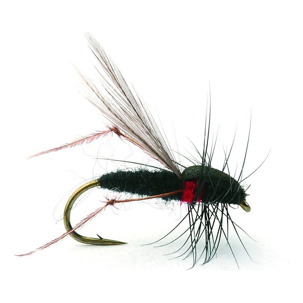 Russer Flua Tørr - 12 dans le groupe Leurre de la peche / Mouches / Mouches sèches l\'adresse Sportfiskeprylar.se (101232GL)
