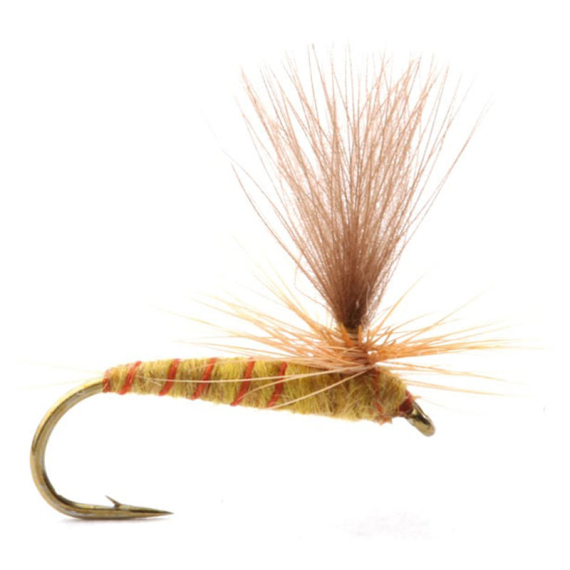 Guideline Ignita dans le groupe Leurre de la peche / Mouches / Mouches sèches l\'adresse Sportfiskeprylar.se (101392GLr)