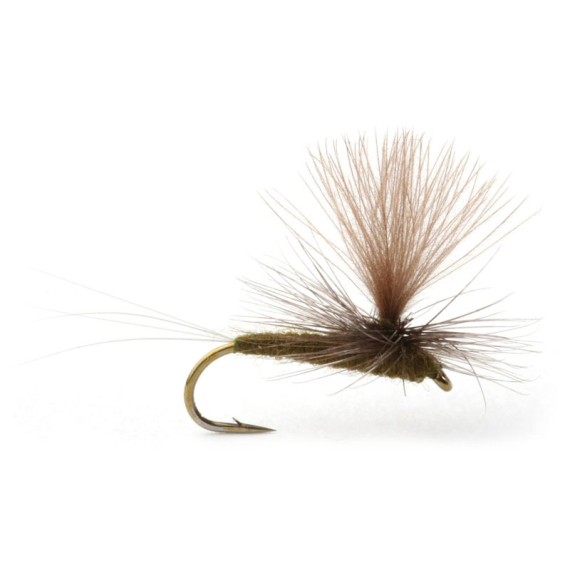 Baetis Dark Olive - 14 dans le groupe Leurre de la peche / Mouches / Mouches sèches l\'adresse Sportfiskeprylar.se (101394GL)