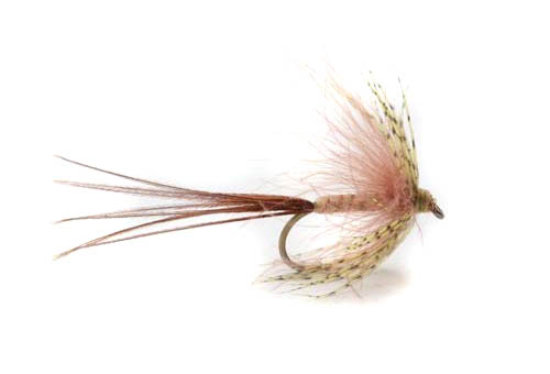 Vulgata Gosling - 8 dans le groupe Leurre de la peche / Mouches / Mouches sèches l\'adresse Sportfiskeprylar.se (101463GL)