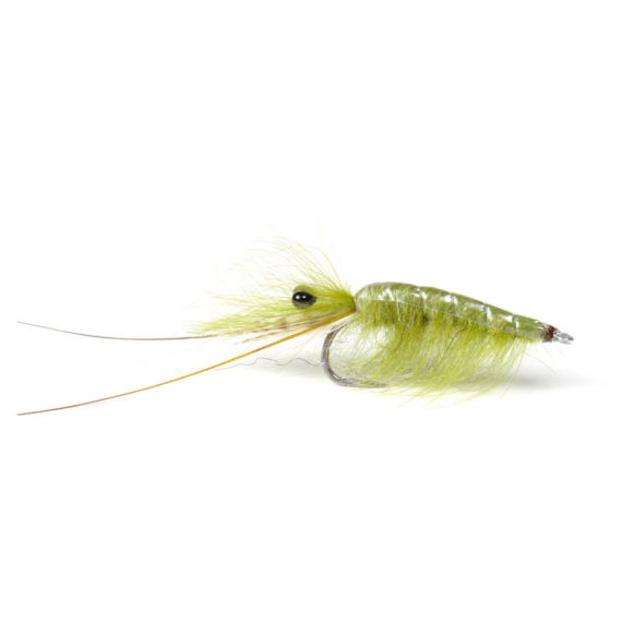 Olive CDC Shrimp #6 dans le groupe Leurre de la peche / Mouches / Streamers l\'adresse Sportfiskeprylar.se (101583GL)