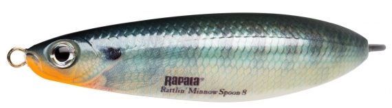 Rapala Minnow Spoon Rattlin, 8 cm, BG dans le groupe Leurre de la peche / Cuillere peche l\'adresse Sportfiskeprylar.se (102320NO)