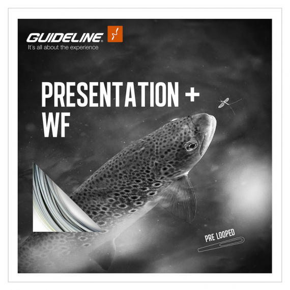 Guideline Presentation+ WF dans le groupe Lignes de pêche / Lignes de pêche à la mouche / Soies une main l\'adresse Sportfiskeprylar.se (107188GLr)