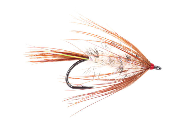 Guideline Autumn fly #10 dans le groupe Leurre de la peche / Mouches / Mouches mouillées l\'adresse Sportfiskeprylar.se (108129GL)