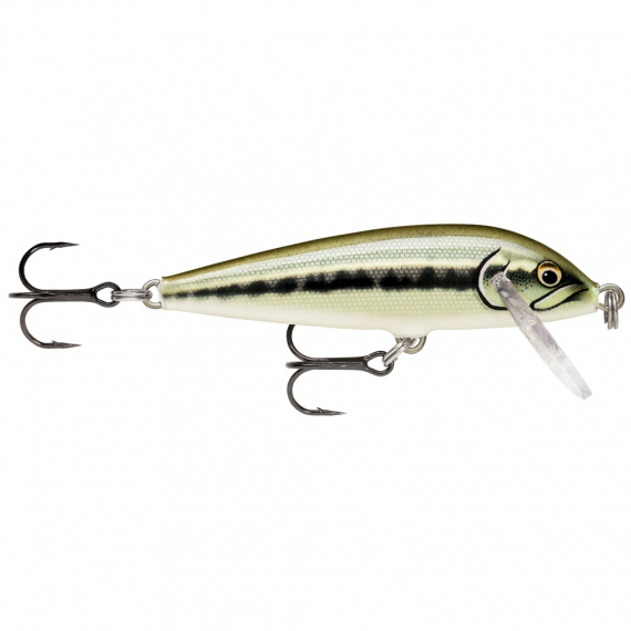 Rapala CountDown 7cm AMN dans le groupe Leurre de la peche / Crankbait / Crankbaits shallow l\'adresse Sportfiskeprylar.se (123152NO)