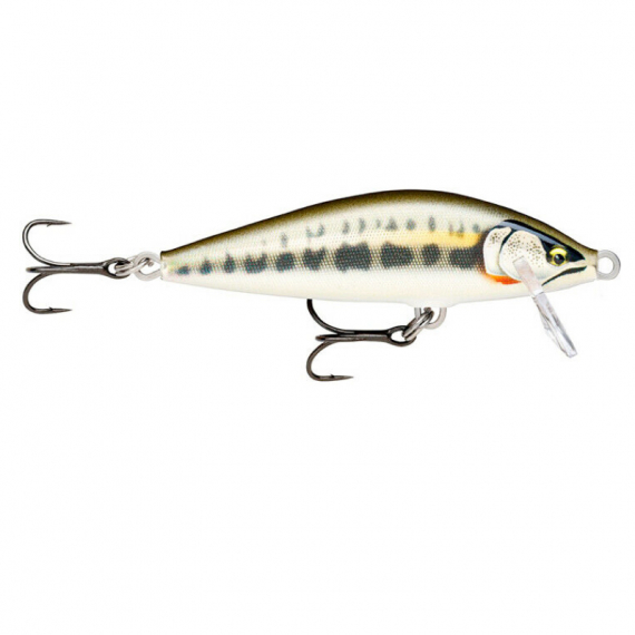 Rapala CountDown Elite 7,5cm, 10g - GDMN dans le groupe Leurre de la peche / Crankbait / Crankbaits shallow l\'adresse Sportfiskeprylar.se (124020NO)