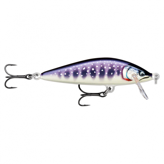 Rapala CountDown Elite 5,5cm GDIW dans le groupe Leurre de la peche / Crankbait / Crankbaits shallow l\'adresse Sportfiskeprylar.se (126555NO)