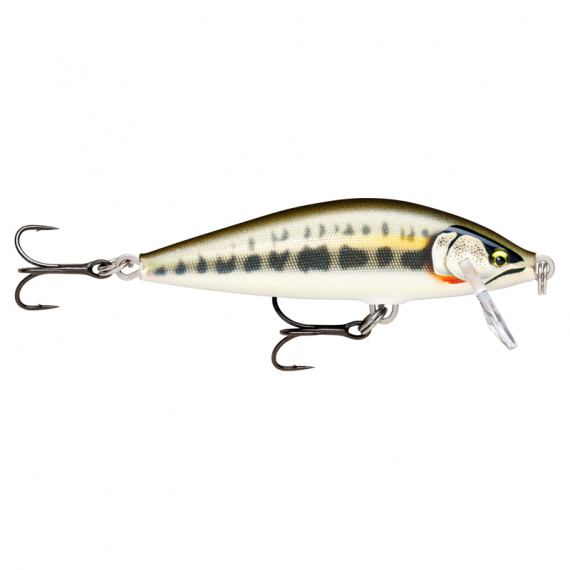 Rapala CountDown Elite 5,5cm - GDMN dans le groupe Leurre de la peche / Crankbait / Crankbaits shallow l\'adresse Sportfiskeprylar.se (126556NO)