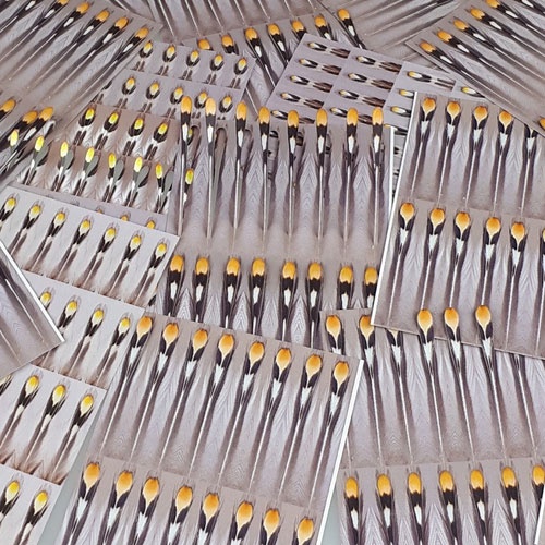 FutureFly Artificial Jungle Cock dans le groupe Hameçons et terminal tackle / Fabrication mouche / Matériel de montage de mouches / Yeux l\'adresse Sportfiskeprylar.se (1465-001r)