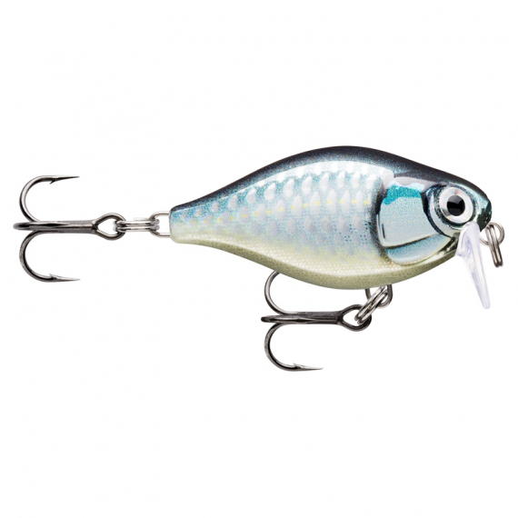 Rapala X-Light Crank Shallow Runner dans le groupe Leurre de la peche / Crankbait / Crankbaits shallow l\'adresse Sportfiskeprylar.se (146501NOr)