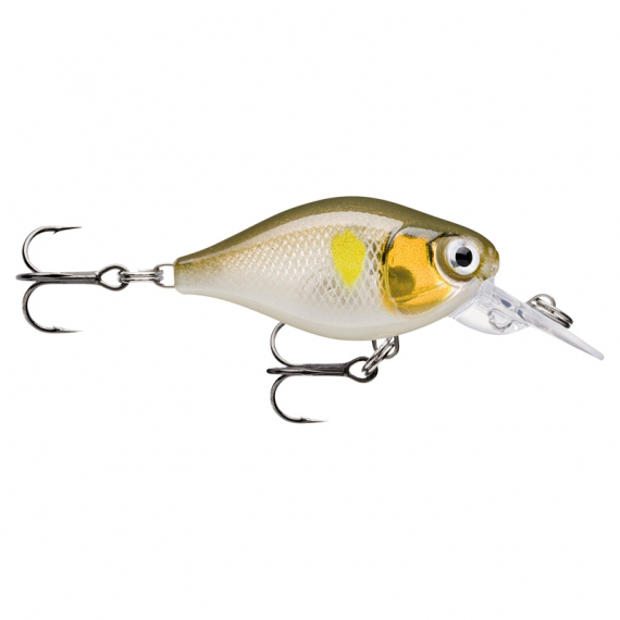 Rapala X-Light Crank Mid Runner dans le groupe Leurre de la peche / Crankbait / Deep Diving Crankbaits l\'adresse Sportfiskeprylar.se (146513NOr)