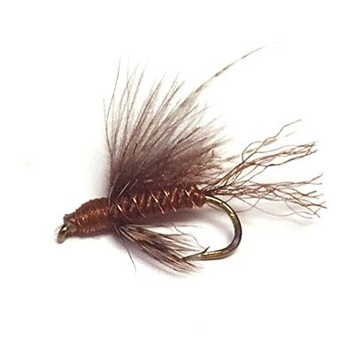 CDC Caddis Emerger Brown # 16 dans le groupe Leurre de la peche / Mouches / Mouches sèches l\'adresse Sportfiskeprylar.se (16058-BRWN-16)