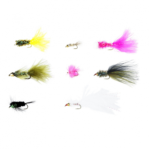 Pool 12 Flies for Rainbow Trout dans le groupe Leurre de la peche / Mouches / Kits mouche l\'adresse Sportfiskeprylar.se (20178973)