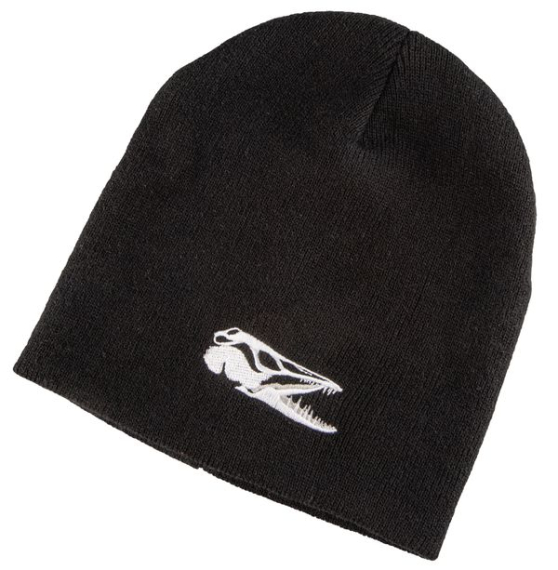 IFISH Beanie dans le groupe Habits et chaussures / Chapeau de peche, casquette peche / Bérets et chapeaux l\'adresse Sportfiskeprylar.se (20241266)