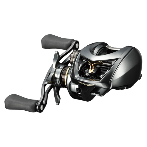 Daiwa STEEZ CT SV TW 700 dans le groupe Moulinet de pêche / Moulinet casting / Moulinets profil bas l\'adresse Sportfiskeprylar.se (211533r)