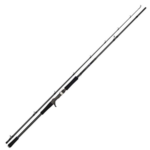 Daiwa Prorex XR Baitcast dans le groupe Canne a peche / Canne casting l\'adresse Sportfiskeprylar.se (216235r)