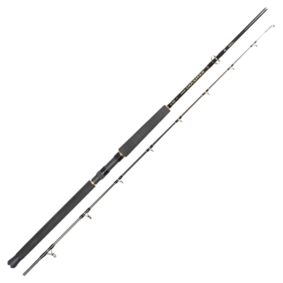 Daiwa Super Kenzaki Spin dans le groupe Canne a peche / Canne a peche mer / Cannes bateau l\'adresse Sportfiskeprylar.se (32-222529r)