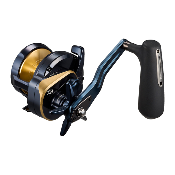 Daiwa 25 Saltiga (G) dans le groupe Moulinet de pêche / Moulinets pour pêche en mer l\'adresse Sportfiskeprylar.se (32-224504r)