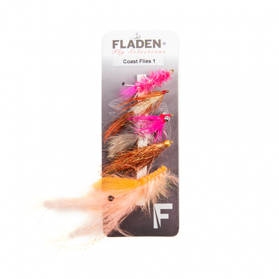 Fladen Maxximus Flies 5-pack Coast 1 dans le groupe Leurre de la peche / Mouches / Kits mouche l\'adresse Sportfiskeprylar.se (34-2002)