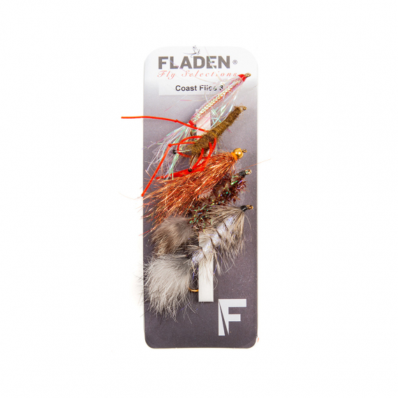 Fladen Maxximus Flies 5-pack Coast 3 dans le groupe Leurre de la peche / Mouches / Kits mouche l\'adresse Sportfiskeprylar.se (34-2004)