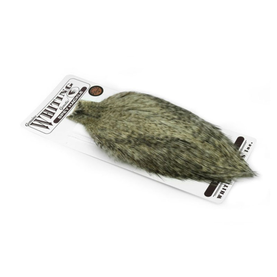 Whiting Bronze Spey Hackle Cape Grizzly dans le groupe Hameçons et terminal tackle / Fabrication mouche / Matériel de montage de mouches / Plumes et capes / Capes et selles l\'adresse Sportfiskeprylar.se (61301001)
