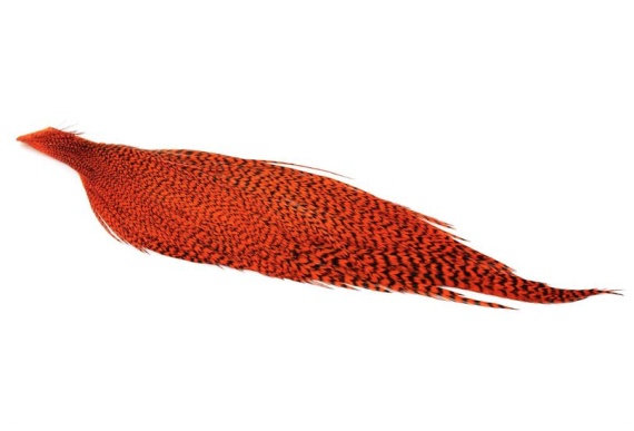 Whiting High & Dry Hackle 1/2 Cape - GD/Orange dans le groupe Hameçons et terminal tackle / Fabrication mouche / Matériel de montage de mouches / Plumes et capes / Capes et selles l\'adresse Sportfiskeprylar.se (71841151)