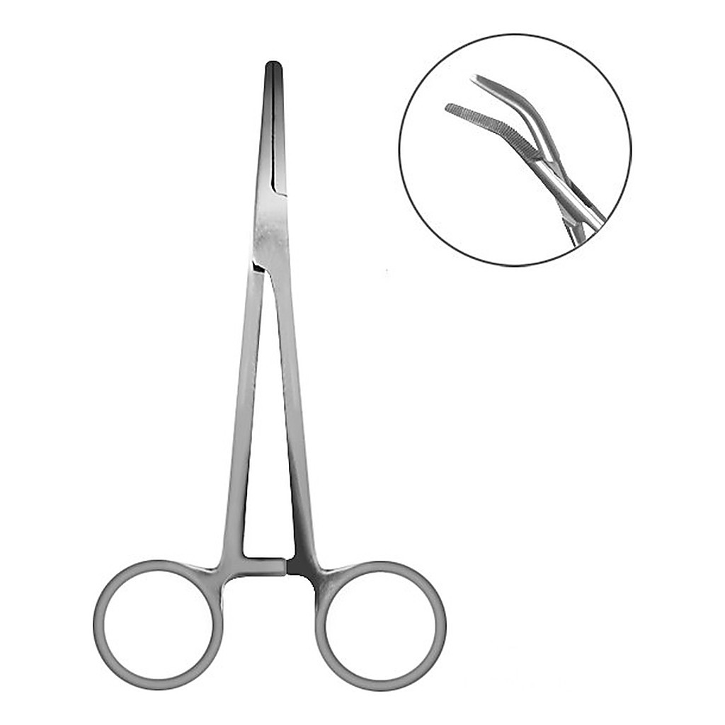 Delphin Curved Forceps - 15 cm dans le groupe Accessoires de pêche / Pinces et ciseaux / Forceps l\'adresse Sportfiskeprylar.se (830921015)
