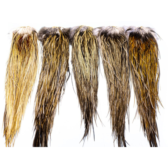 Whiting Heritage Hackle Saddle dans le groupe Hameçons et terminal tackle / Fabrication mouche / Matériel de montage de mouches / Plumes et capes / Capes et selles l\'adresse Sportfiskeprylar.se (87802007r)