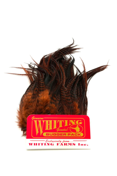 Whiting Bugger Pack Barred dans le groupe Hameçons et terminal tackle / Fabrication mouche / Matériel de montage de mouches / Plumes et capes / Autres plumes l\'adresse Sportfiskeprylar.se (91871005r)