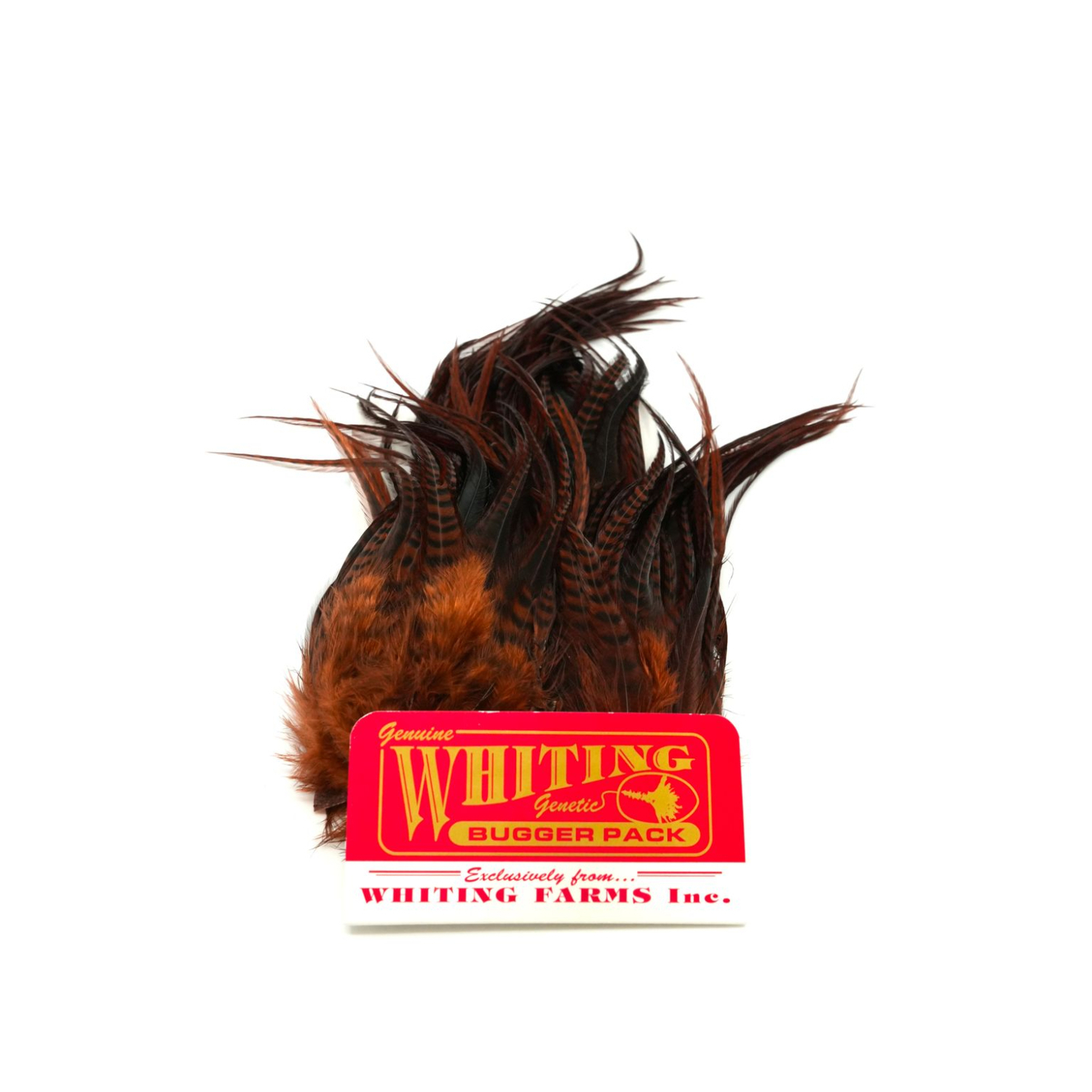 Whiting Bugger Pack Barred dans le groupe Hameçons et terminal tackle / Fabrication mouche / Matériel de montage de mouches / Plumes et capes / Autres plumes l\'adresse Sportfiskeprylar.se (91871005r)