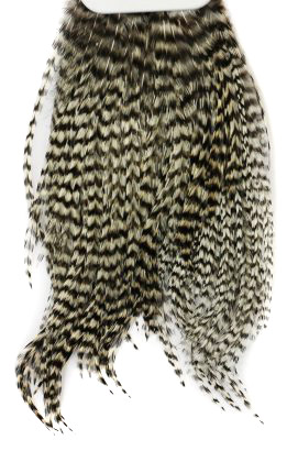 Whiting Bugger Pack dans le groupe Hameçons et terminal tackle / Fabrication mouche / Matériel de montage de mouches / Plumes et capes / Capes et selles l\'adresse Sportfiskeprylar.se (91871734r)