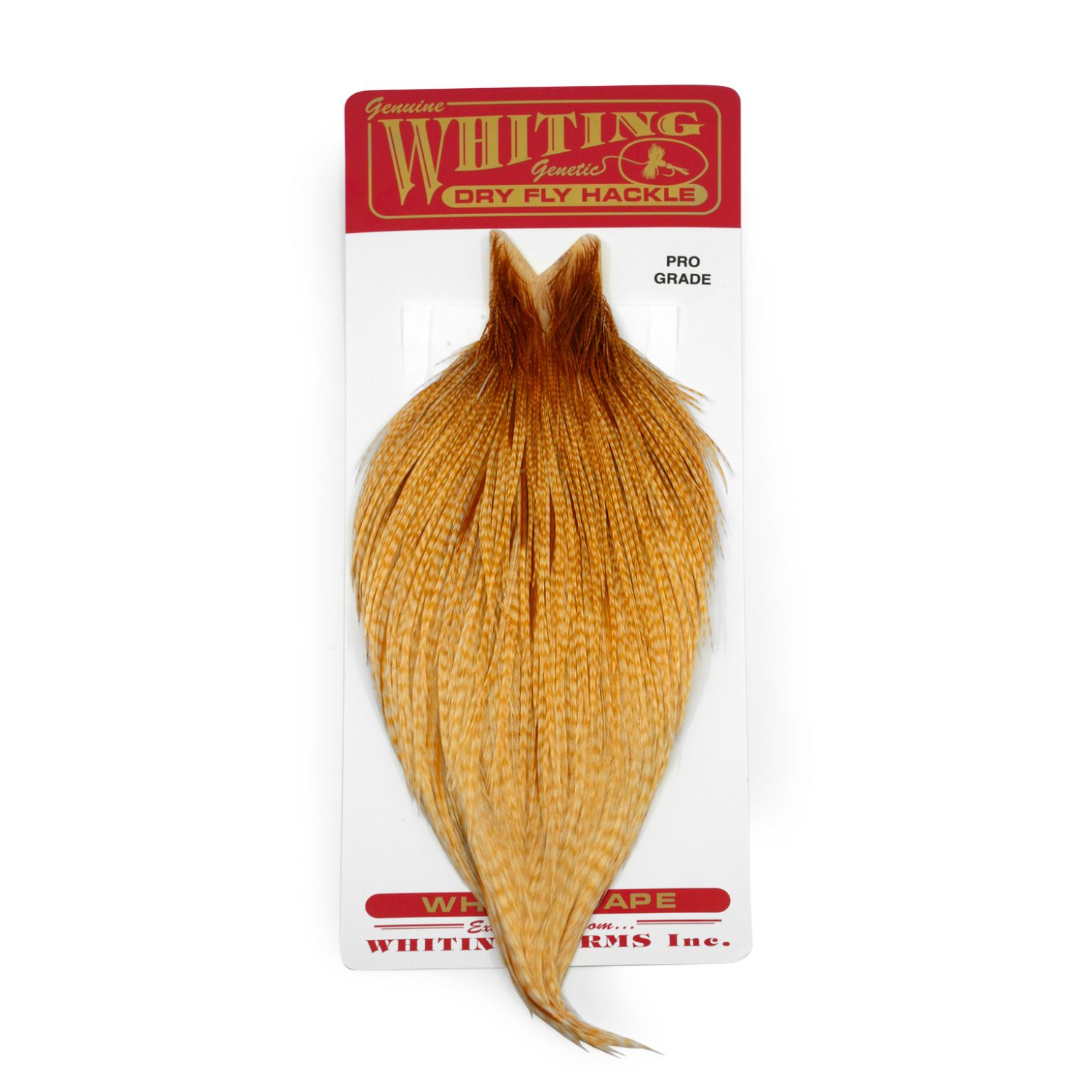 Whiting Pro Grade Rooster Cape dans le groupe Hameçons et terminal tackle / Fabrication mouche / Matériel de montage de mouches / Plumes et capes / Capes et selles l\'adresse Sportfiskeprylar.se (95501007r)