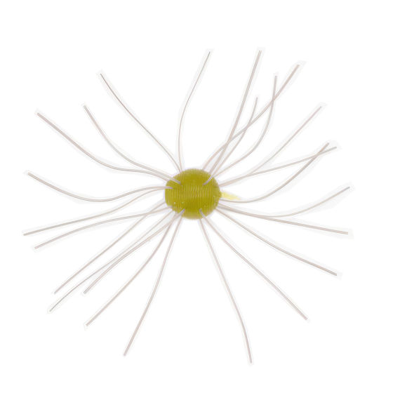 Geecrack Imo kemshi Cue bomb finess dans le groupe Leurre de la peche / Leurre souple / Écrevisses et appâts creaturebait / Fuzzy Baits l\'adresse Sportfiskeprylar.se (CUEBOMBFINESS-421r)