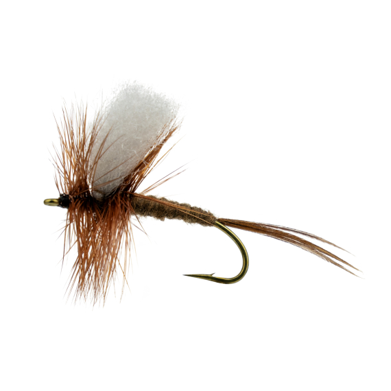 Rocken # 8 dans le groupe Leurre de la peche / Mouches / Mouches sèches l\'adresse Sportfiskeprylar.se (F30-1051-8)