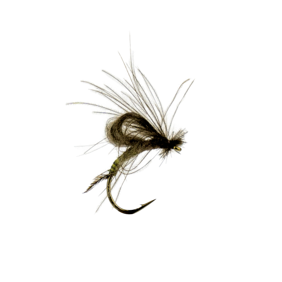 Baetis Emerger Olive Biot dans le groupe Leurre de la peche / Mouches / Mouches sèches l\'adresse Sportfiskeprylar.se (F30-1070-13r)