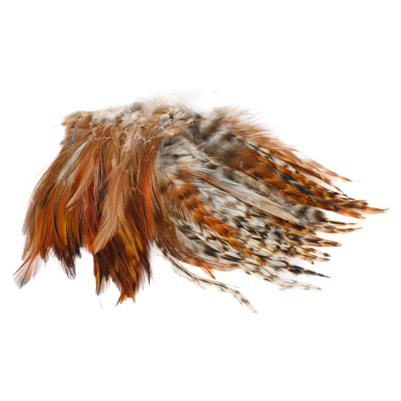 Strung Neck Hackle dans le groupe Hameçons et terminal tackle / Fabrication mouche / Matériel de montage de mouches / Plumes et capes / Hackle l\'adresse Sportfiskeprylar.se (FD-SN03r)