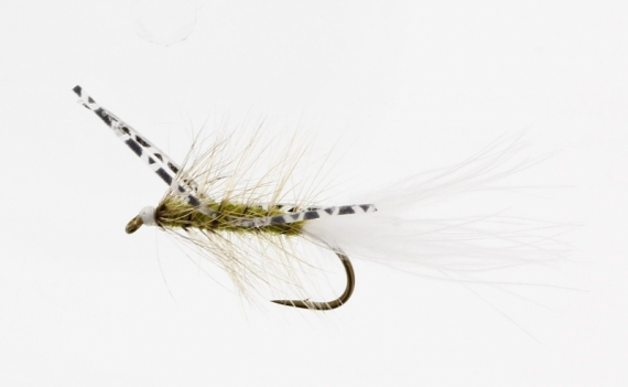 X-Fly Olive Kamasan B170 #6 dans le groupe Leurre de la peche / Mouches / Streamers l\'adresse Sportfiskeprylar.se (FL22049)