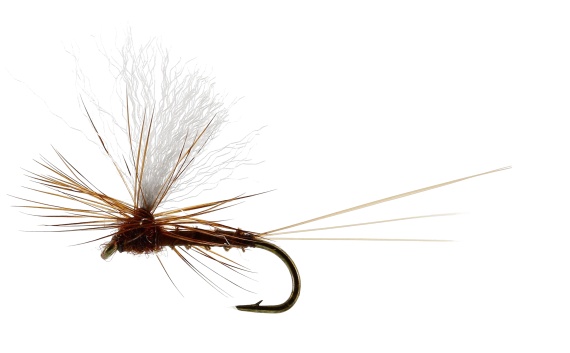 Vespertina Dun Biot Brown TMC100 dans le groupe Techniques de pêche / Peche a la mouche / Mouches / Mouches sèches l\'adresse Sportfiskeprylar.se (FL32115r)