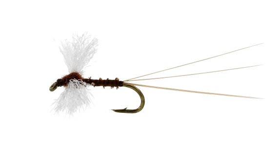 Vespertina Spinner Biot Brown TMC100 dans le groupe Techniques de pêche / Peche a la mouche / Mouches / Mouches sèches l\'adresse Sportfiskeprylar.se (FL32125r)